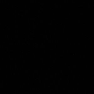 Meet your Posher, Timoteo